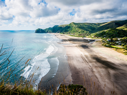 自动化构建的DDOS接单平台